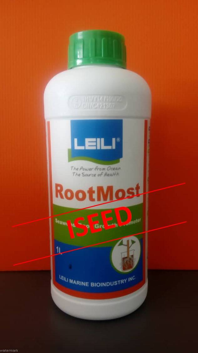 LEILI RootMost Seaweed Fertilizer Root Growth Promoter, enhance roots